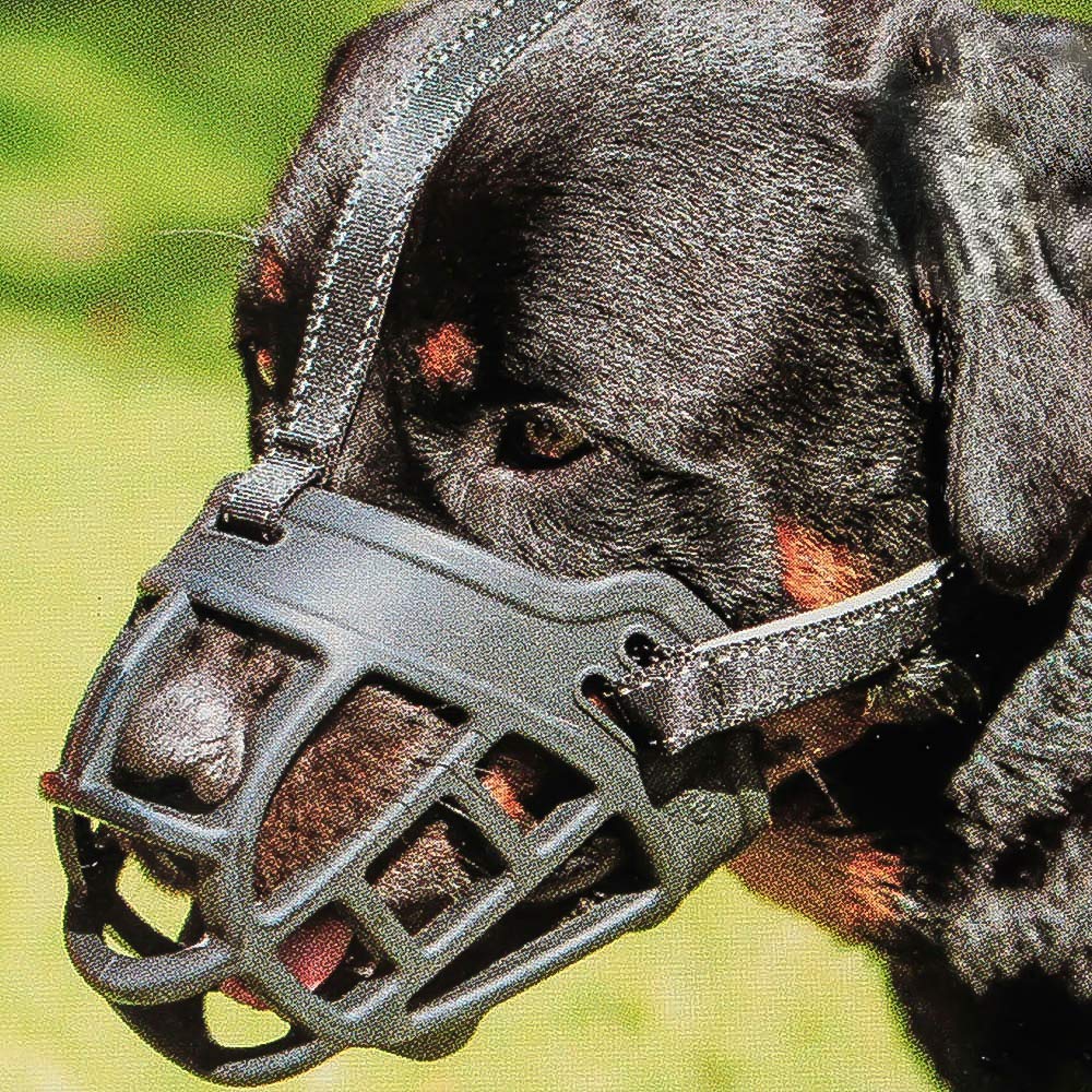 Dog Muzzle,Soft Basket Silicone Muzzles for Dog, Best to Prevent Biting, Chewing and Barking, Allows Drinking and Panting, Used with Collar (1 (Snout 7-8"), Black)