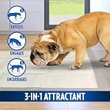 OUT! Absorbent Pet Training Pads 180 Count Moisture Lock 53x55cm view 2