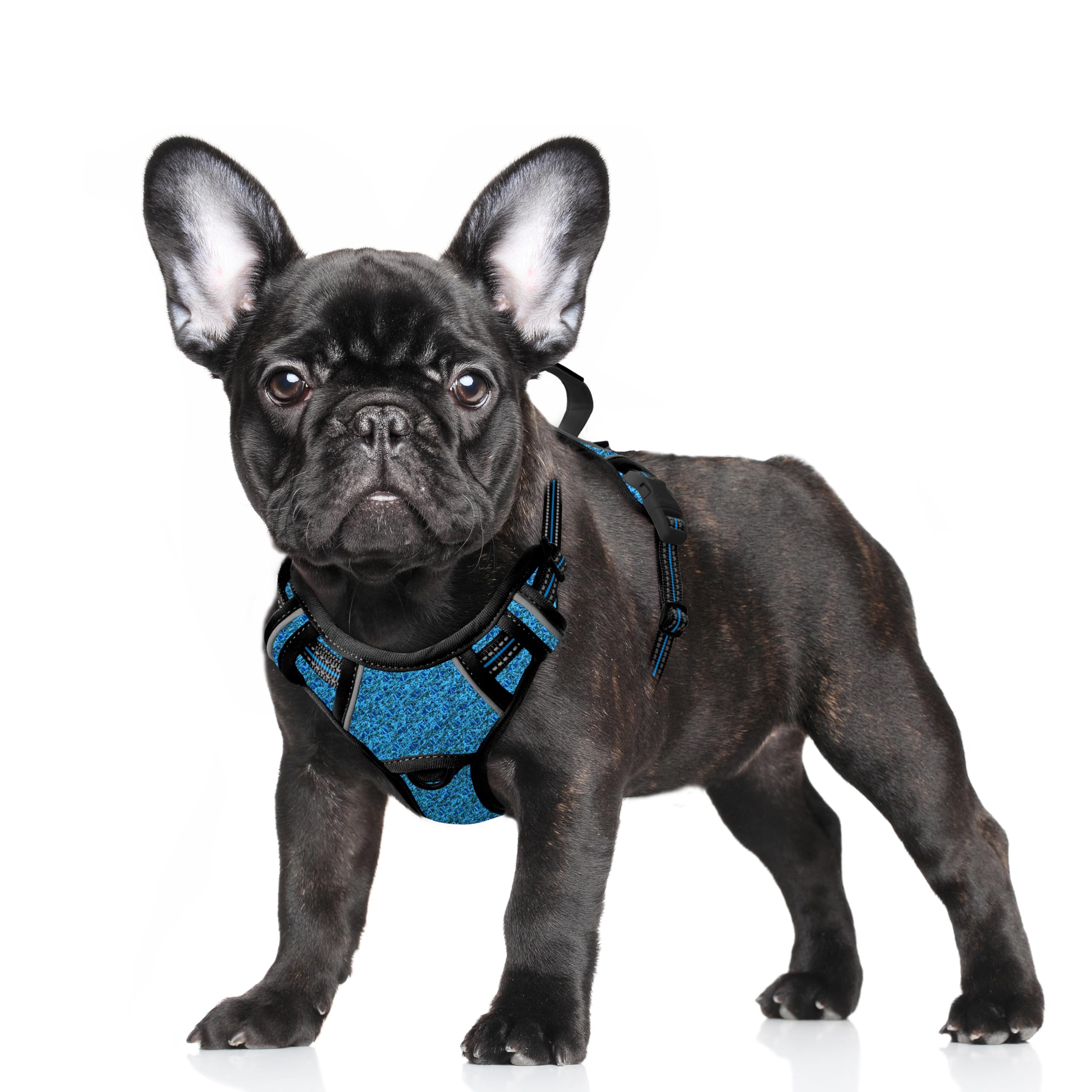 BARKBAY No Pull Dog Harness Large Reflective Dog Harness with Front Clip and Easy Control Handle for Walking Training Running with ID tag Pocket(Blue/Black,S)