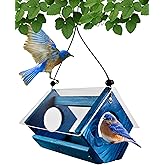Backyard Essentials Petite Bluebird Feeder with Plexiglass Roof and Powder Coated Steel Mesh Basket Bird Feeder Tray