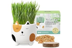 The Cat Ladies Cat Grass for Indoor Cats, Cat Grass Growing Kit with Organic Cat Grass Seed Mix, Soil and Ceramic Cat Planter, Pet Grass for Cats, Natural Hairball Remedy, Cat Gifts