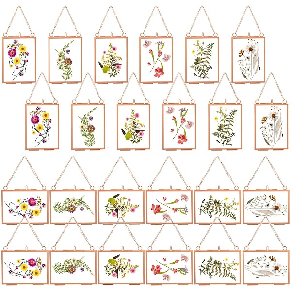 KIGLEY DOUBLE GLASS FRAME FOR PRESSED FLOWERS FLOATING HANGING PHOTO FRAME 3.5 X 2.5 IN BRASS CLEAR PRESSED FLOWER DECOR WITH CHAIN FOR DISPLAY GALLERY ARTWORK, HORIZONTAL VERTICAL (ROSE GOLD,20 PCS)