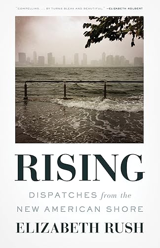 Download Rising: Dispatches from the New American Shore PDF