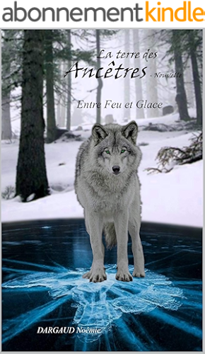 Download Entre Feu et Glace: bit-lit (La terre des Ancêtre - Nouvelle t. 0) PDF