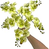Mythlty 5 Artificial Orchid Flower Stems 18 Inches Real Touch Faux Phalaenopsis Stems Fake Orchid Flowers Arrange for Wedding Bridal Bouquets Home Office Indoor Decorations (Green)