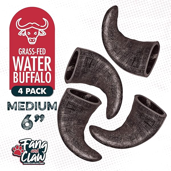 FANG AND CLAW WATER BUFFALO HORN DOG CHEW 4 PACK (MEDIUM 6 INCH), LONG-LASTING NATURAL CHEWS FOR AGGRESSIVE CHEWERS, SINGLE-INGREDIENT, NO RAWHIDE