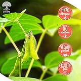 Eco Lux UK 2kg Premium Soy Wax White Flakes - 100% Natural Vegan view 3