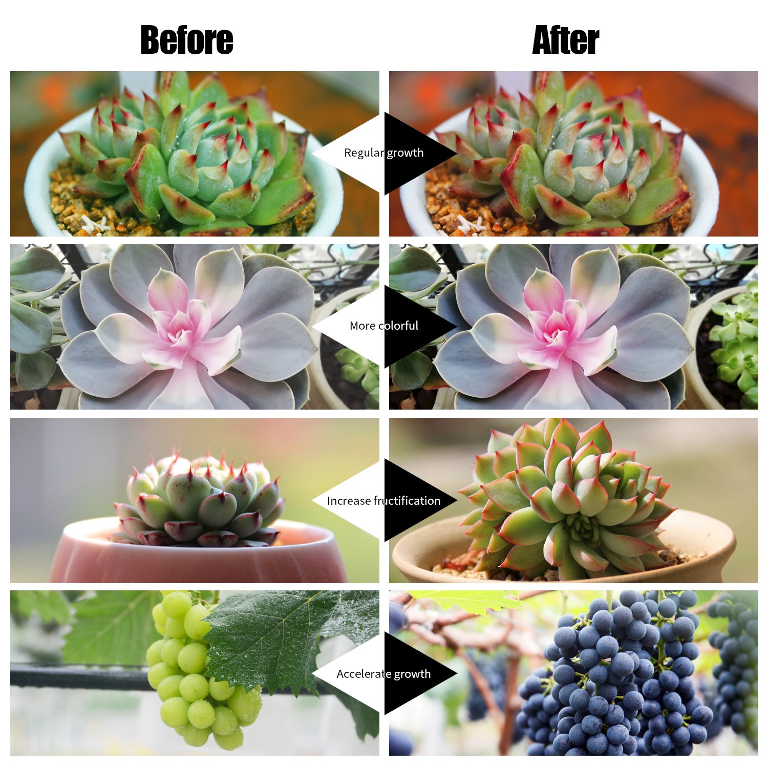 Plant Grow Lights, 24W Grow Light for Indoor Plants, Auto Turn ON&Off Every Day, 8 Dimmable Levels,4/8/12H Memory Timing, 360°Adjustable Gooseneck for Greenhouse Hydroponics Gardening by Elivern