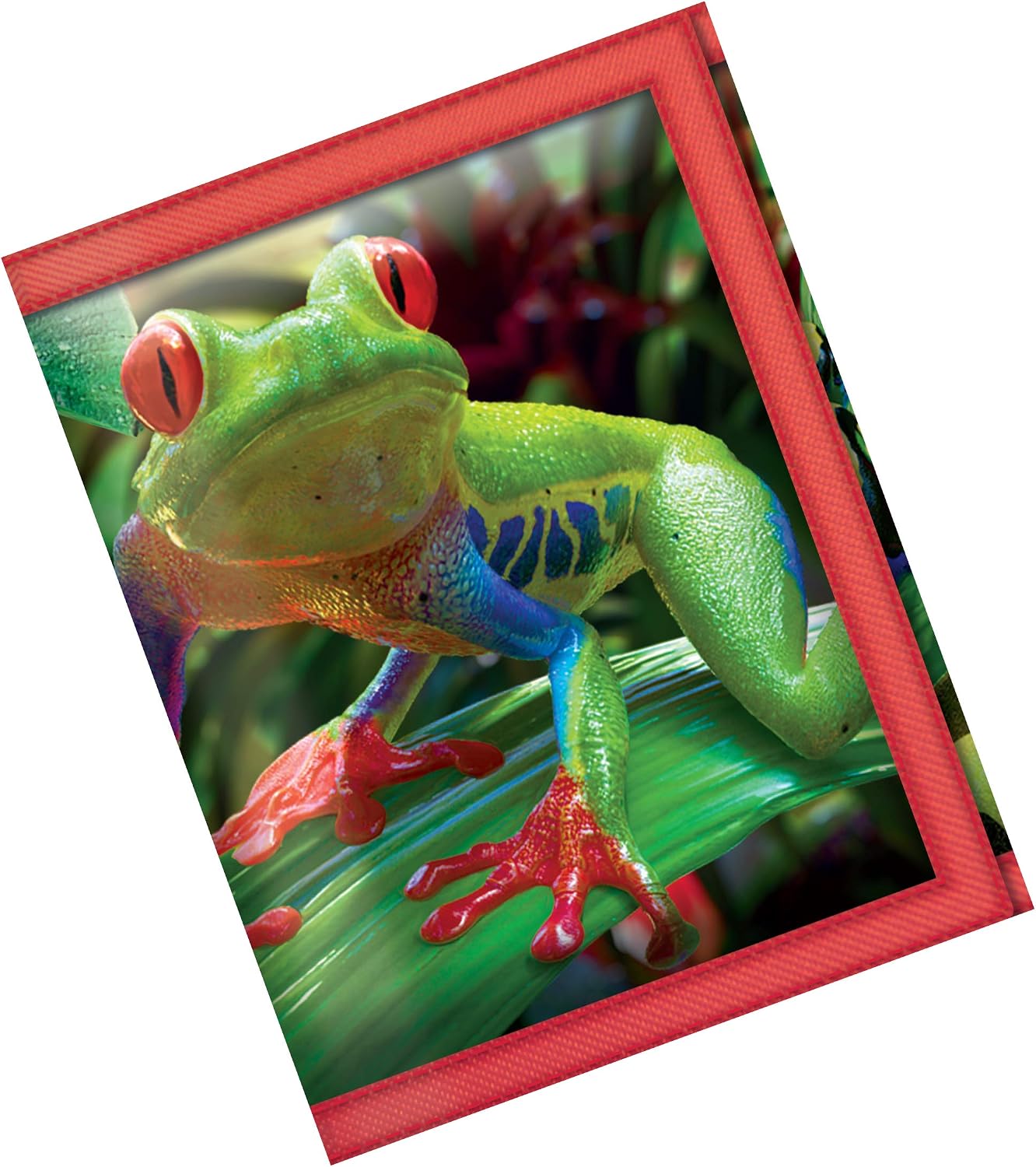 3D LiveLife Wallets, Funky Frogs from Deluxebase. Cool Lenticular Frog Trifold Wallet with Zipper, Coin Pocket