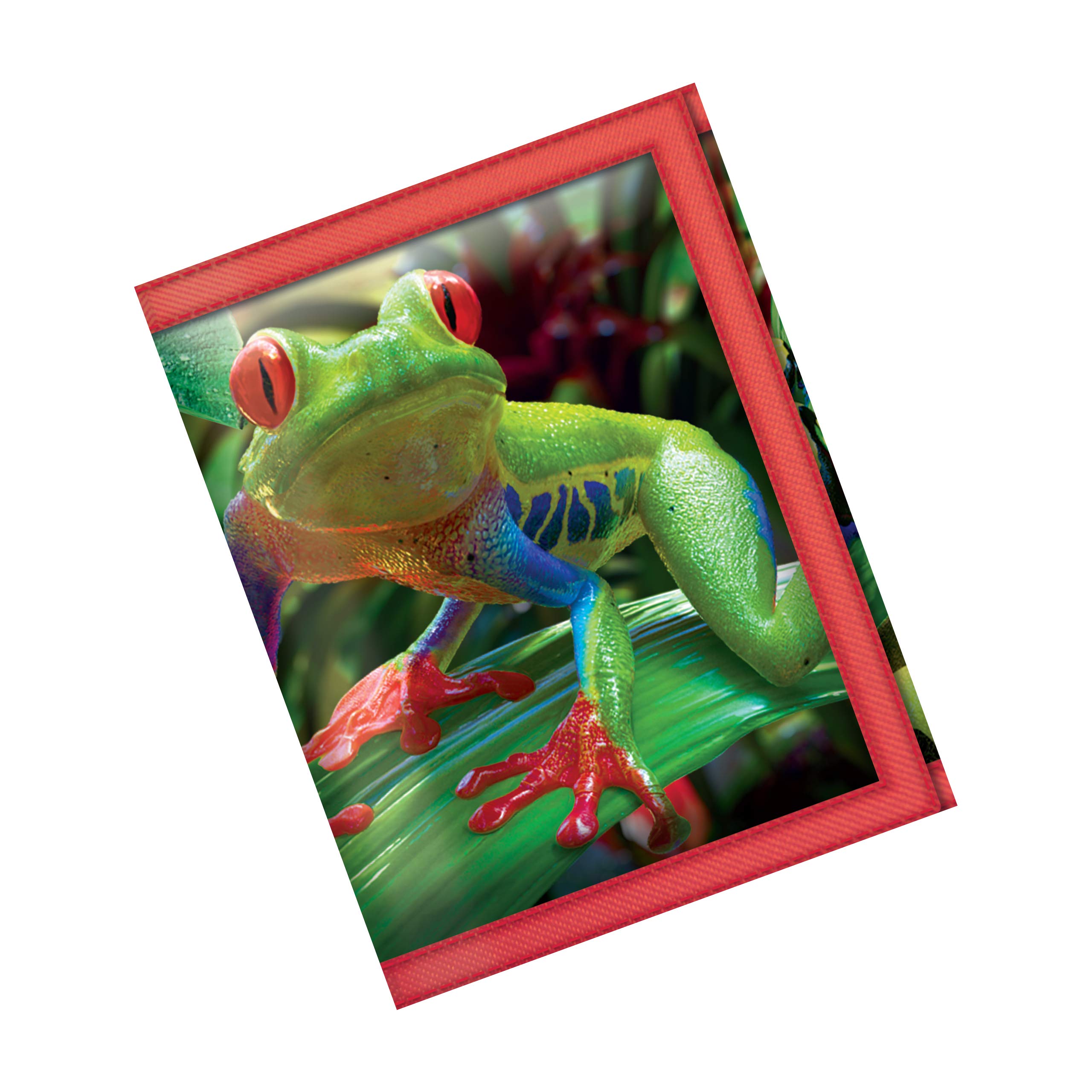 3D LiveLife Wallets - Funky Frogs from Deluxebase. Cool Lenticular Frog Trifold Wallet with Zipper, Coin Pocket, Keyring and Card Holder. Animal Themed Small Gifts for Men and Women.