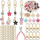 287Pcs DIY Keychain Making Kit, Charm Jewelry Chain Making Crafts, Cute Bag Charm Kit, Including 120 Charms 20 Keychain Clips 120 Jump Rings 25 Extender Chain 1 Plier and 1 PP Box for DIY Crafts