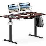 SHW 55 x 28 Inches Electric Height Adjustable