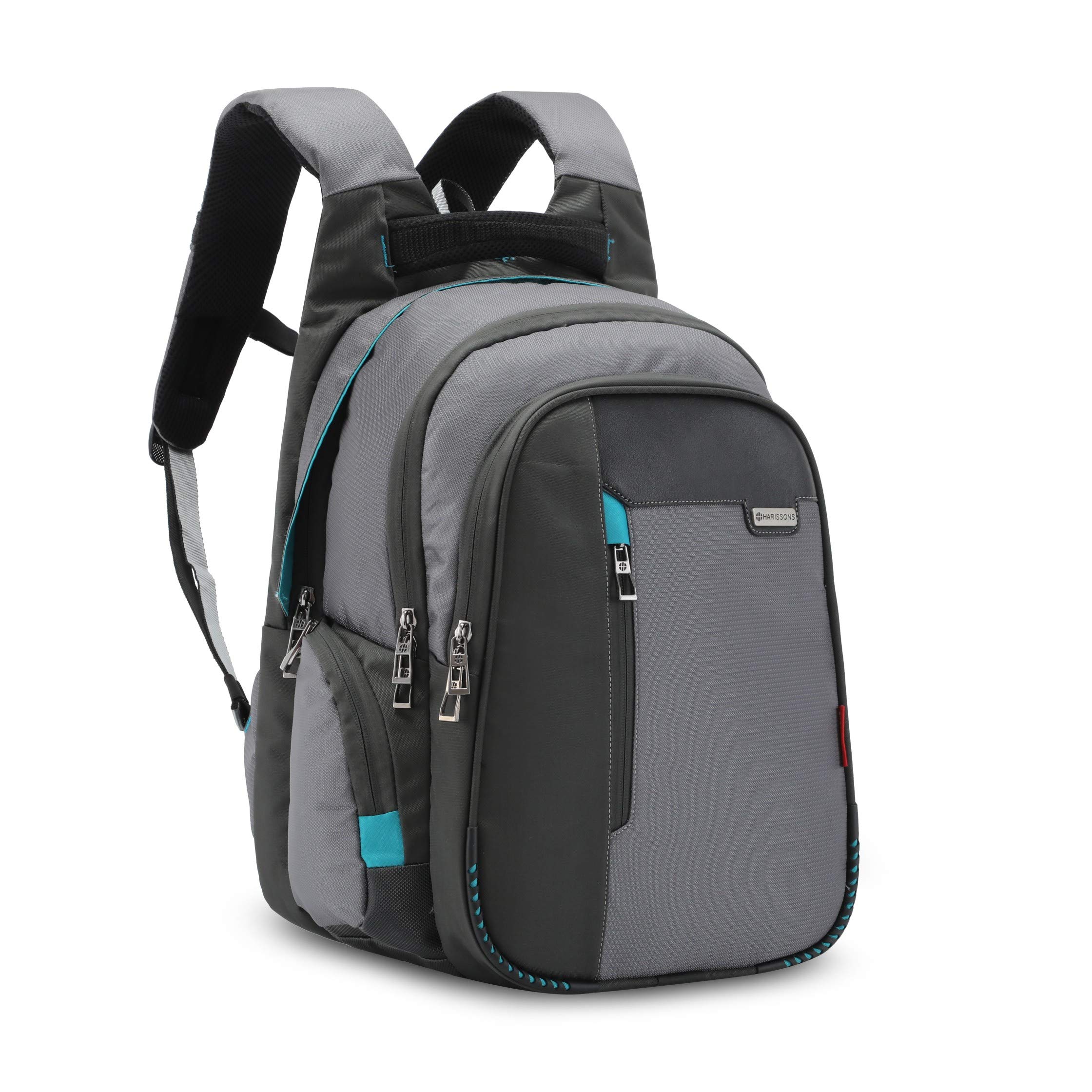 harissons vervo laptop backpack