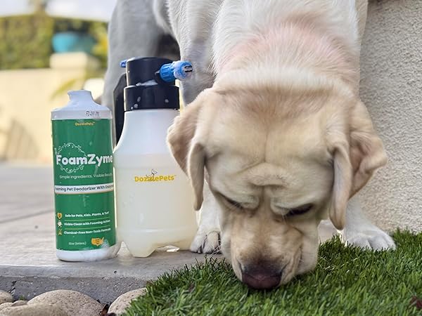 DOZZLEPETS FOAMZYME – 32OZ OUTDOOR PET ODOR ELIMINATOR, SAFE IN PET & FAMILY AREAS, ALL-NATURAL INGREDIENTS, DESIGNED FOR USE WITH POOZOOKA, MADE IN USA