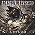 Asylum