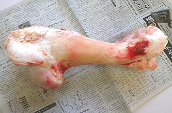 Amazon 国産牛生骨ゲンコツ1本 約2kg Lovelybone 骨 ボーン 通販