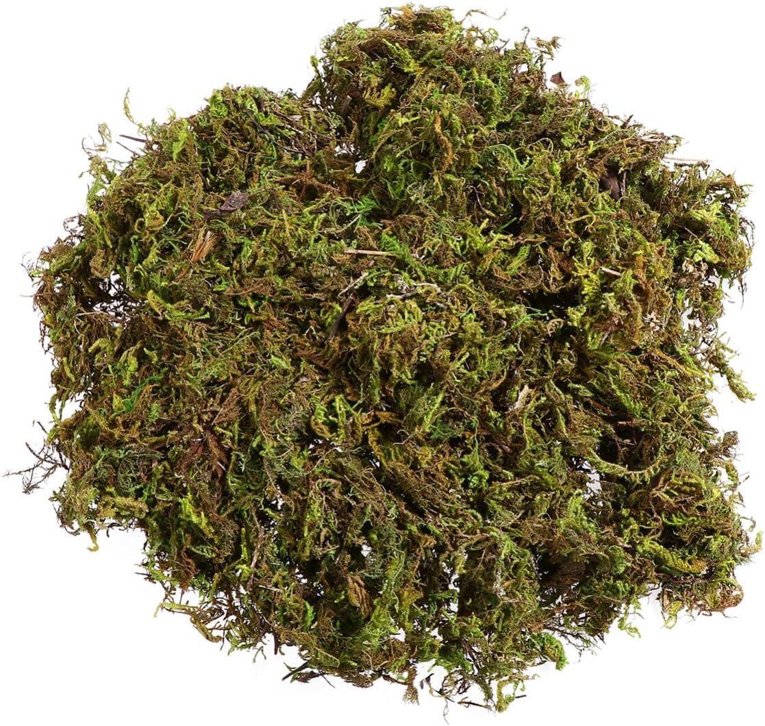 Garneck 2pcs Fake Moss Fake Lichen, Artificial Olive Tree Decor Simulation Green Plants Artificial Moss for Plant Pots for Home, Garden, Patio Decorative Artificial Flora (120g)