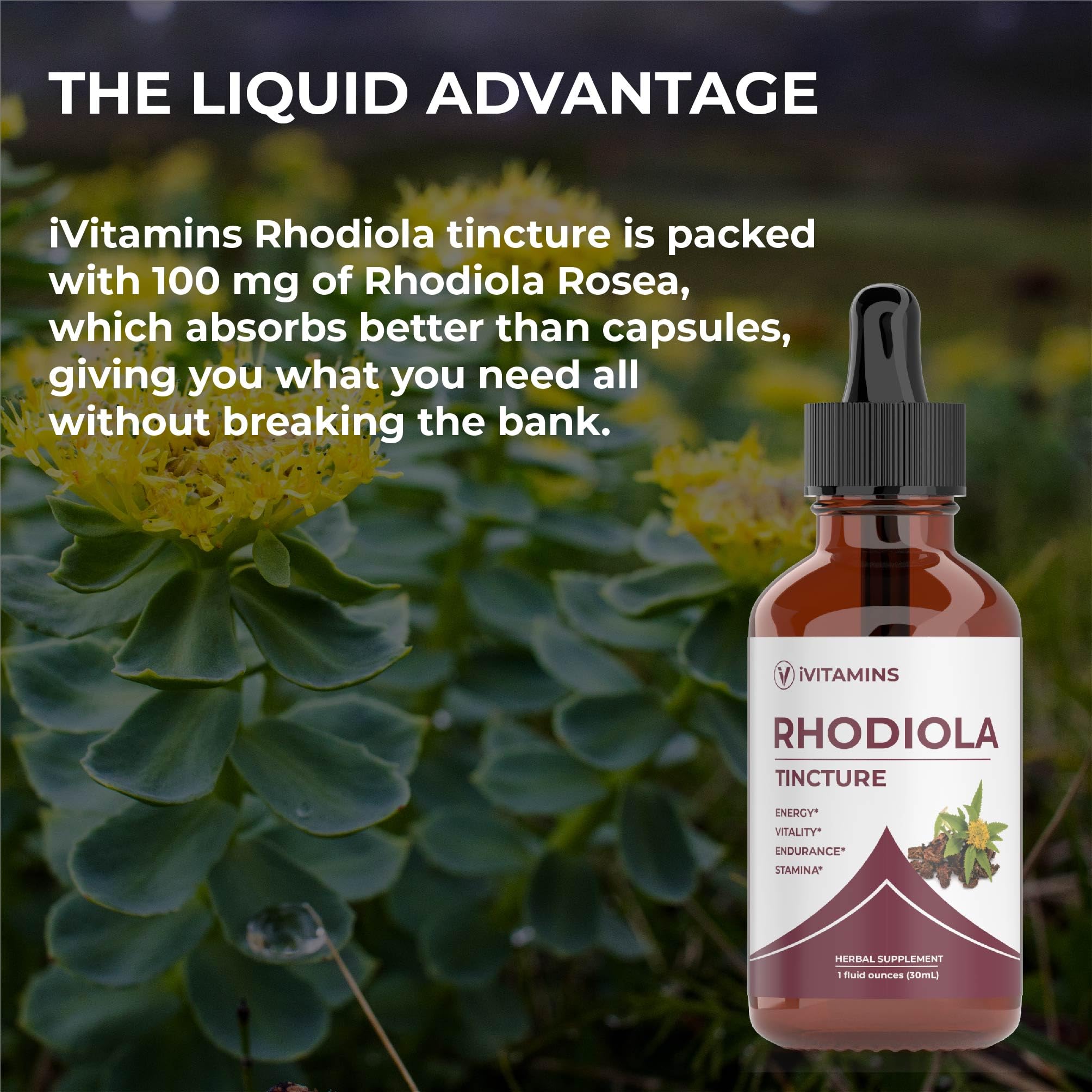 Rhodiola Rosea Tincture | Rhodiola | Rhodiola Extract | for Energy, Stamina, Cognitive Support & Much More | Energy Supplements | Rhodiola Tincture | Rhodiola Supplement - 1 fl oz