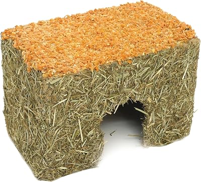 Rosewood Small Carrot Cottage for Small Animals Edible Toy Hay House