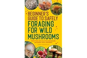 Beginner's Guide to Safely Foraging for Wild Mushrooms: Identifying and Collecting Mushrooms Sustainably with Confidence