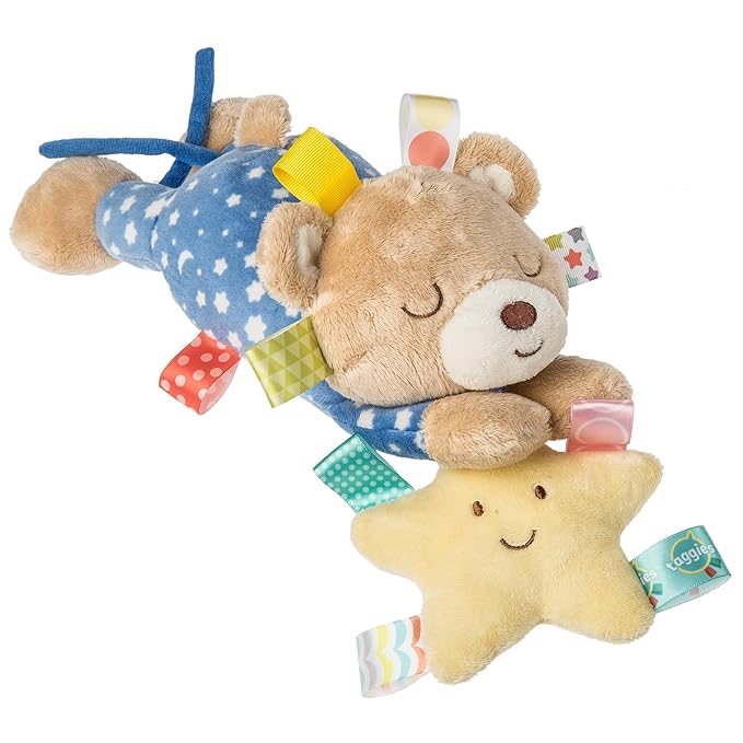 taggie teddy