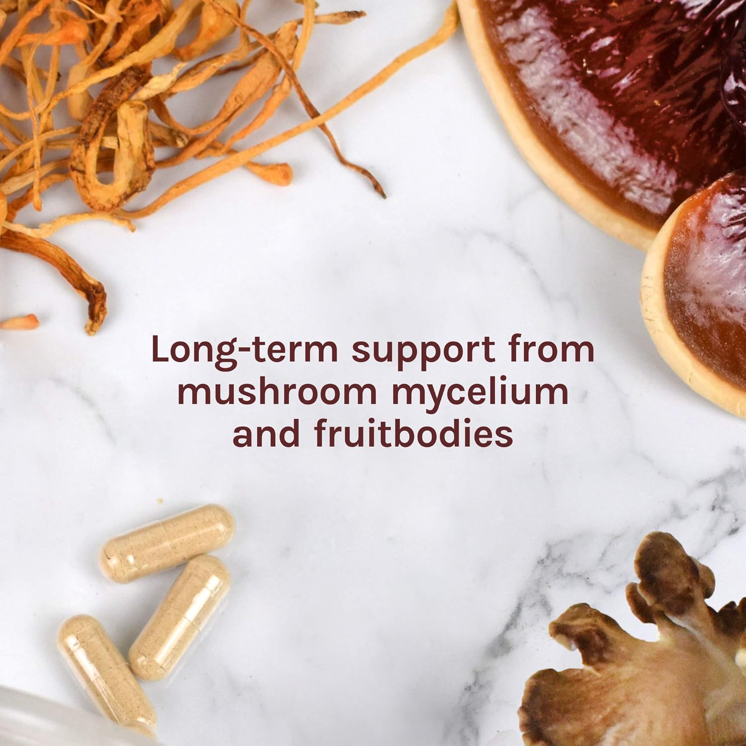 Host Defense, MyCommunity Capsules, Advanced Immune Support, Mushroom Supplement with Lion’s Mane, Reishi, Vegan, Organic, 30 Capsules (15 Servings): Health & Personal Care
