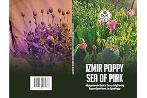 Izmir Poppy Sea of Pink: A Comprehensive Guide to Successfully Growing Papaver somniferum, the Opium Poppy