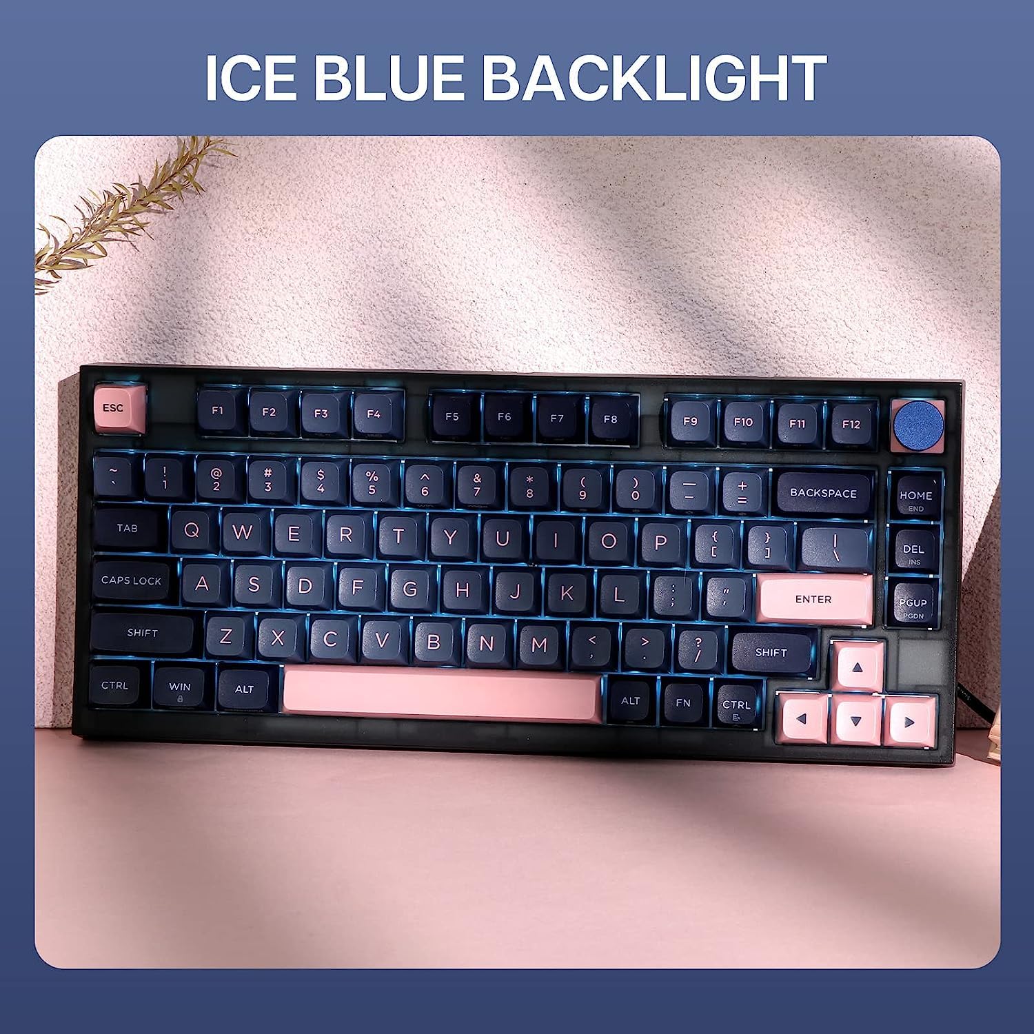 EPOMAKER SKYLOONG GK75 Gaming Keyboard Gasket Mount Mechanical Keyboard Wired Hot Swap Programmable Keyboard with A Rotary Knob Win/Mac Compatible (Gateron Optical Red, GK75 Blue)
