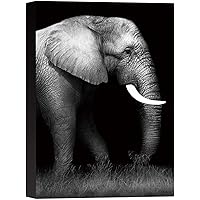 SIGNWIN Canvas Wall Art Headshot of an Elephant with Tusks Animals Wildlife Photography Modern Art Traditional Portrait Dramatic Black and White for Living Room, Bedroom, Office - 12x18 inches