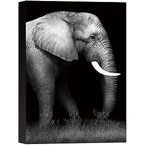 SIGNWIN Canvas Wall Art Headshot of an Elephant...