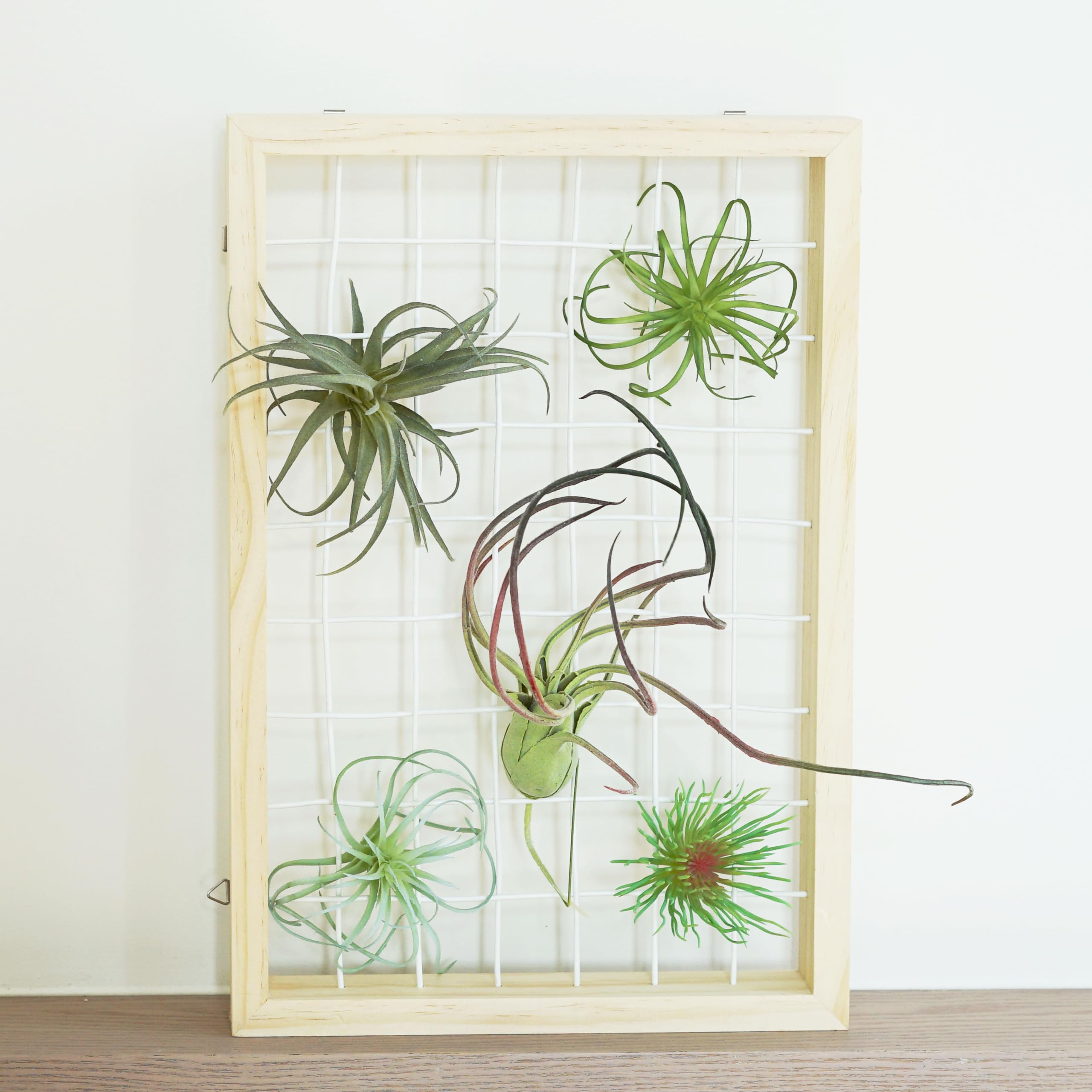 Air Plant Holders Unique Rustic Wood Frame Hanging for Plants, Hanging Wooden Plants Shelf for Wall Decor(Wood)
