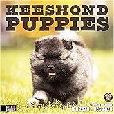 RED EMBER Keeshond Puppies 2026 Wall Calendar 12 Month | 12" x 24" Open | Thick & Sturdy Paper | Holiday Gift | Cute Puppy Dog Calendar 2026