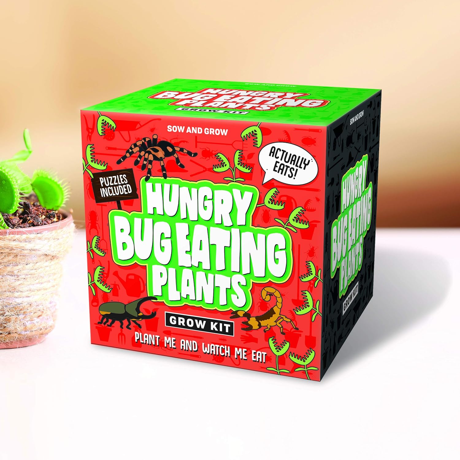 Gift Republic - Sow And Grow, Kit para el cultivo de plantas ...