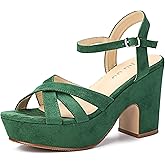 Jiu du Women's Platform Heels Sandals Open Toe Wedge Heels Suede Ankle Strap Chunky Heels Wedding Dressy Party Pumps