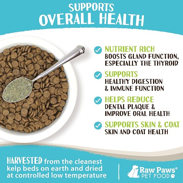 RAW PAWS ORGANIC KELP POWDER FOR DOGS & CATS (16-OUNCE) – SUPPORTS THYROID, DIGESTIVE & IMMUNE HEALTH – DRIED SEA KELP FOR DOGS – SEAWEED POWDER SUPPLEMENT