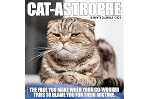 Willow Creek Press Cat-astrophe Monthly 2024 Wall Calendar (12" x 12")