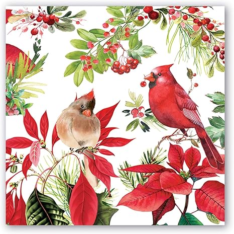 Tovaglioli Stella Di Natale.Michel Design Works Tovaglioli Di Carta Motivo Stella Di Natale Amazon It Salute E Cura Della Persona