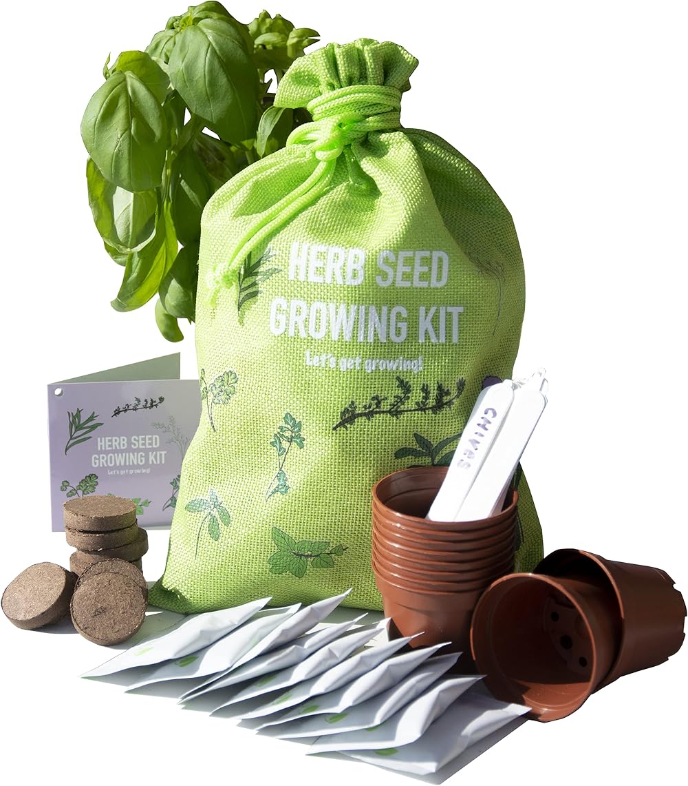 Scott&Co Herbs Seed Kit 10 Varieties Basil Coriander Chives Mint Oregano