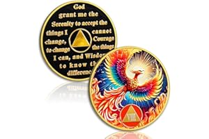 YRCKUDZKG Phoenix of Light 8 Year Sobriety Coin, Rebirth in Fire AA Coin - Addiction Recovery Eignt Year Sober Medal with Token Capsule, Alcoholics Anonymous Sobriety Gifts for Men and Women