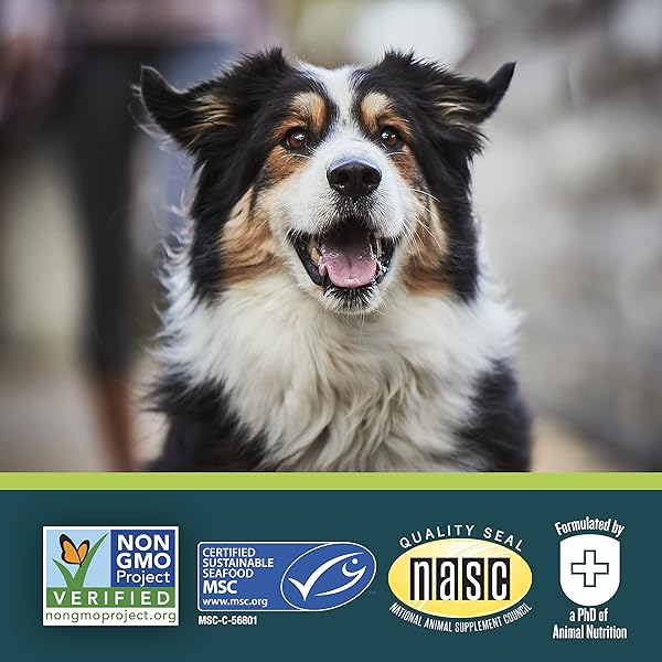 EVERROOT DOG SUPPLEMENT FOR DOG ANXIETY RELIEF BY PURINA, CALMING LIQUID PACK WITH CHAMOMILE – 14 CT. BOX
