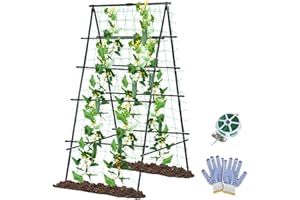 MQUPIN Trellis for Climbing Plants Outdoor, 63in A-Frame Garden Trellis for Raised Garden Grow Support with Plant Support Clips,Grow Support for Cucumber,Tomato, grapesC limbing Plants and Flowers