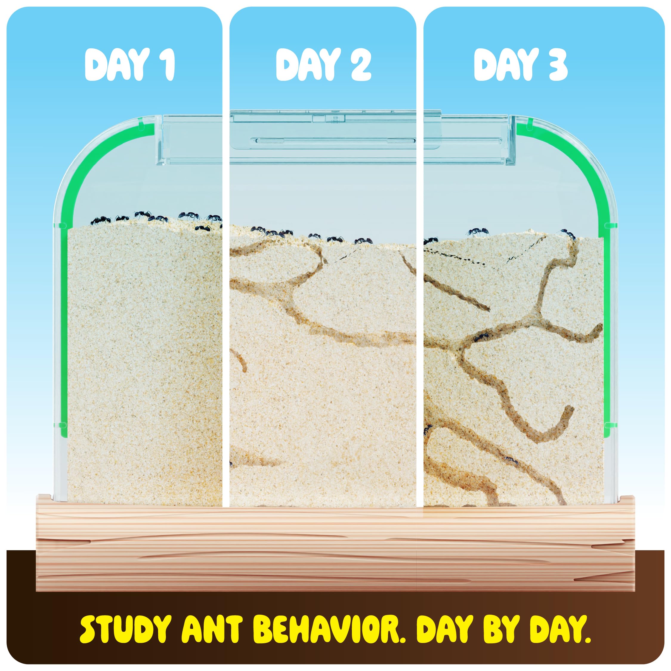 Dan&Darci Ant Farm Kit for Kids - Farms Colony - Includes Ants Voucher - Sand Habitat Kits - Bug Terrarium House - Educational Science Gifts for Kid - Nature Learning Toys for Boys, Girls & Adults