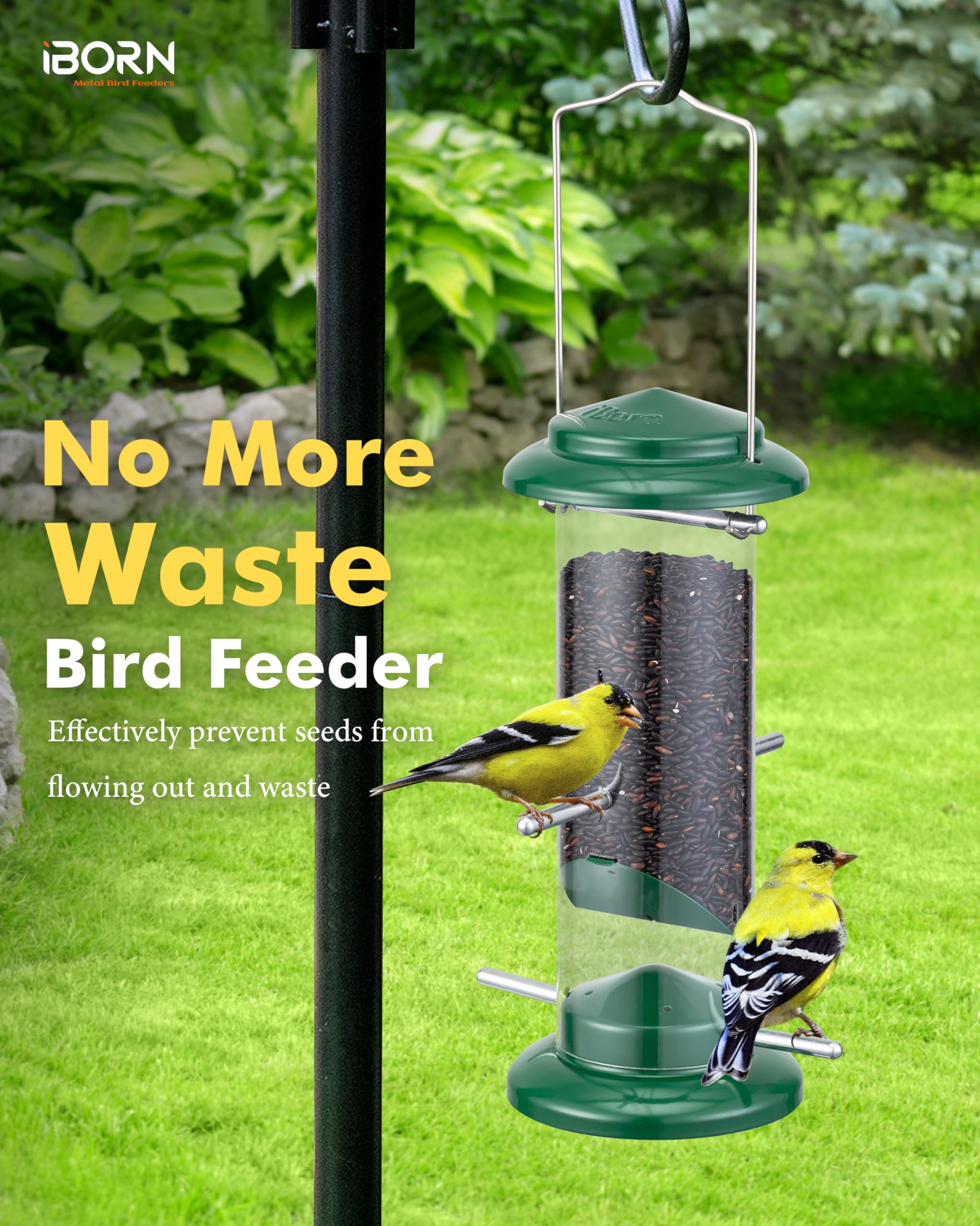 View 6