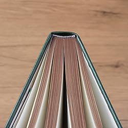 Thick Lined Journal Notebook with Pen, 360 Pages