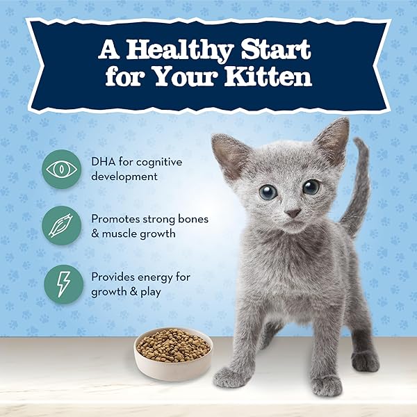 BLUE BUFFALO BABY BLUE NATURAL GRAIN-FREE DRY FOOD FOR KITTENS, HEALTHY GROWTH FORMULA WITH DHA, HIGH-PROTEIN SAVORY CHICKEN RECIPE, 4.5-LB. BAG