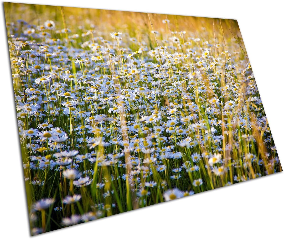 EAPoster WILD DAISY FLOWERS WALL ART LARGE A1 POSTER 594 x 841 mm