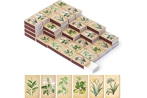 BUoonyer Plant Blank Matches Boxes - 60PCS Match Storage Containers with Double-Sided Striker, Plants Fireplace Matchbook Bulk Holder Decorative for Guests Gift Party Favor (No Matches Included)