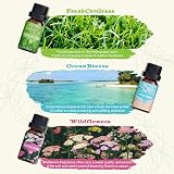SALKING Nature Fragrance Oils Gift Set Pine Ocean Breeze Rain Fresh Cut Grass view 4