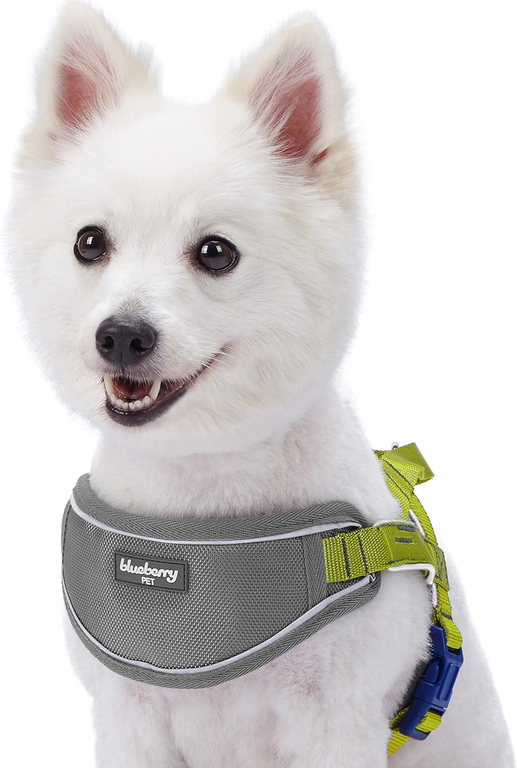 Which Is The Best Blueberry Pet 3M Reflective Multicolored Stripe Dog Harness Padded