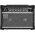 Roland JC-22 Jazz Chorus 40-Watt Guitar Amplifier with Two 6.5-Inch Speakers